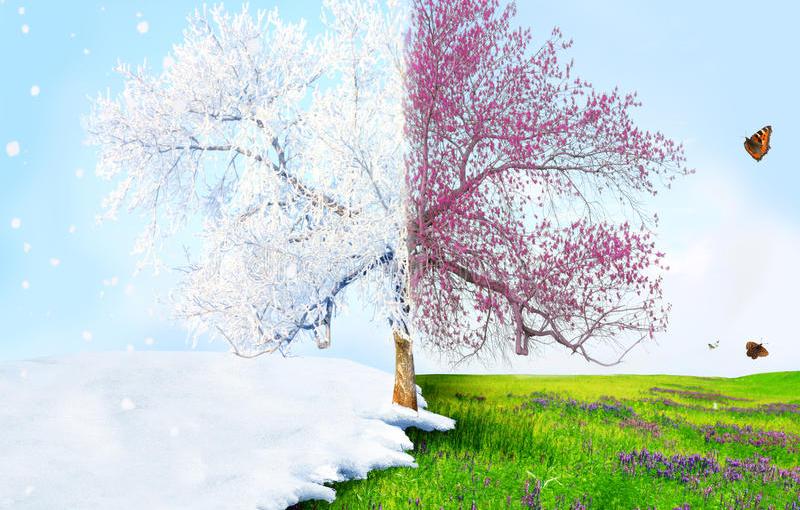 NaPoWriMo 2021 – Poem&nbsp;#7